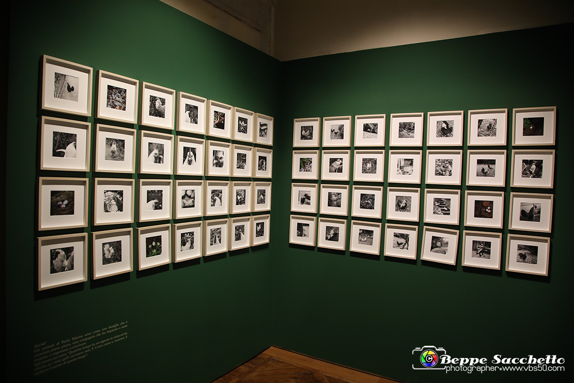 VBS_1328 - Castello di Miradolo - Mostra Oltre il giardino l'Abbecedario di paolo Pejrone.jpg